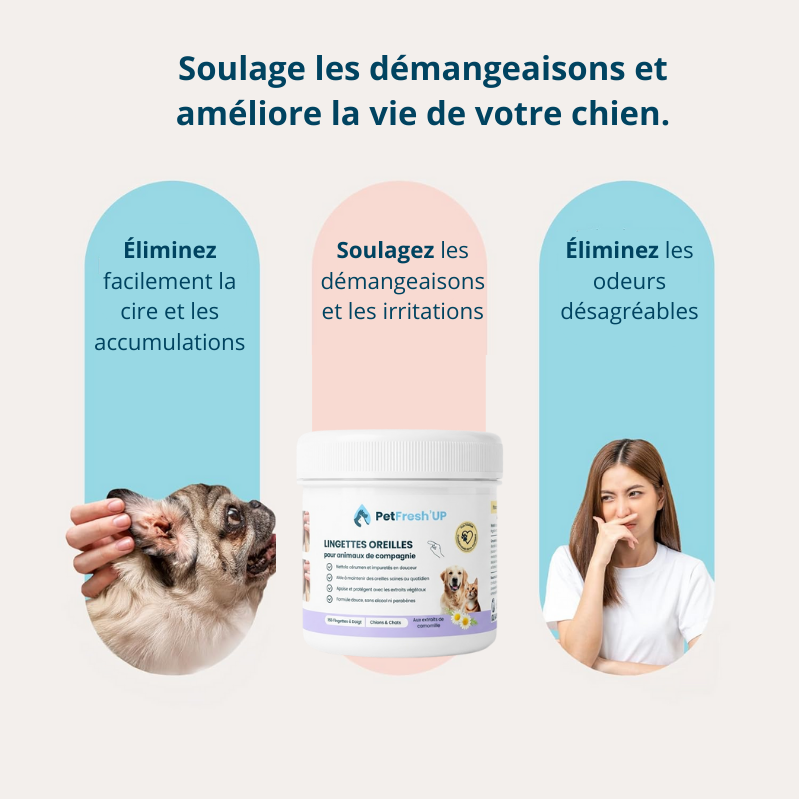 Fresh'Up™ Lingette Oreilles