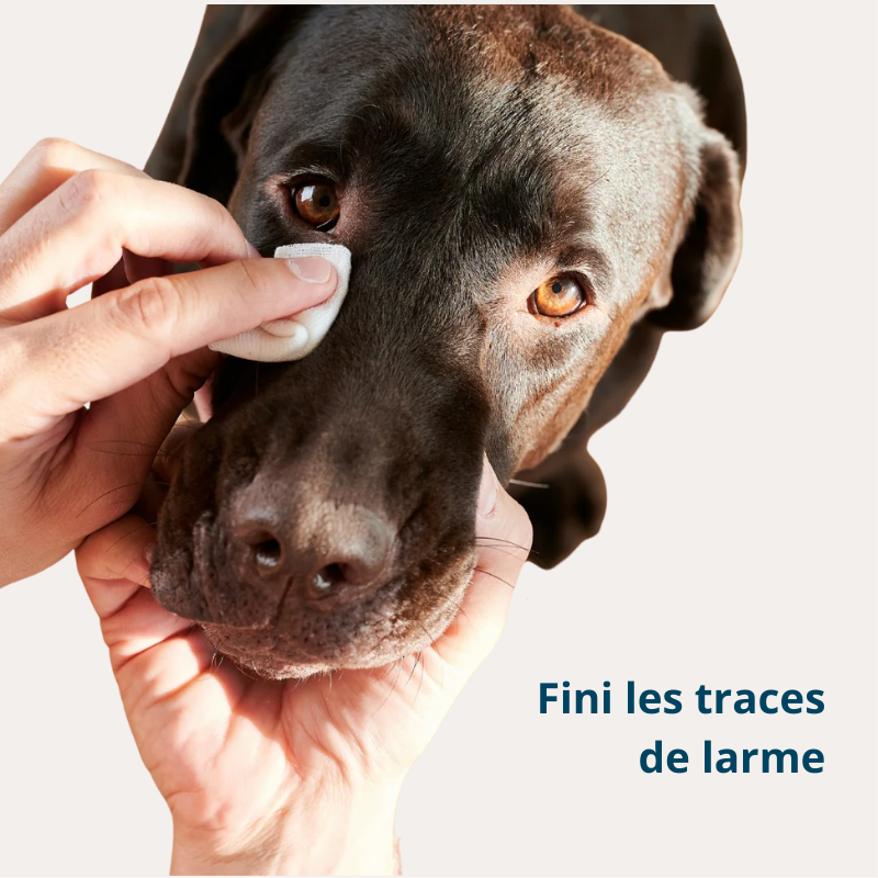 Fresh'Up™ Pack Complet Hygiène