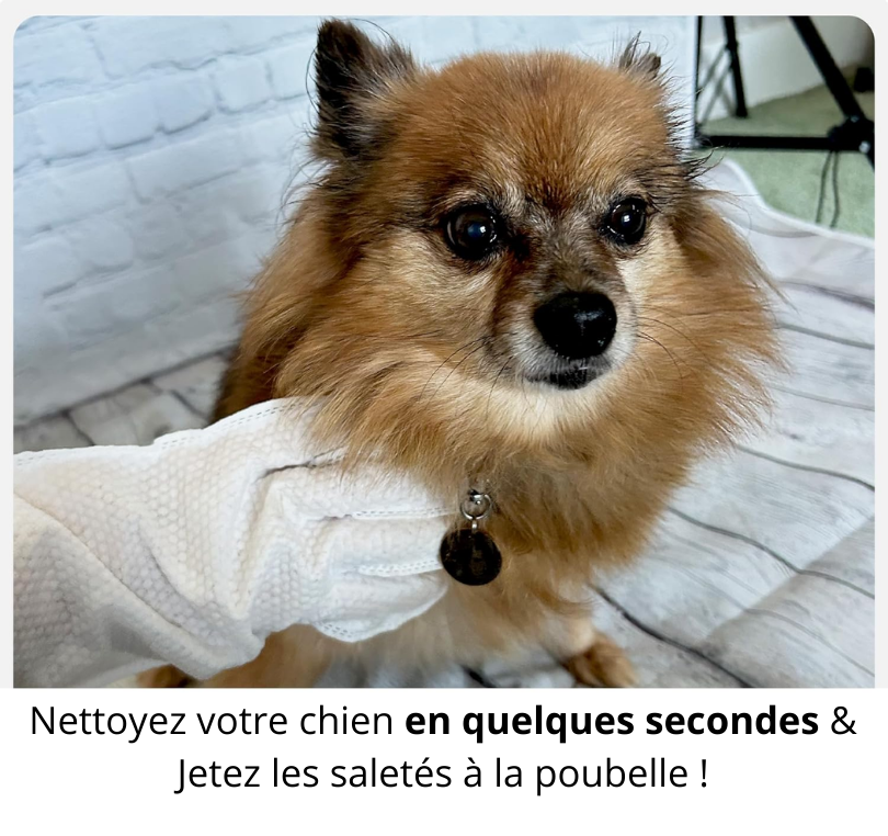 Fresh'Up™ Gants Toilettage PetFresh'Up