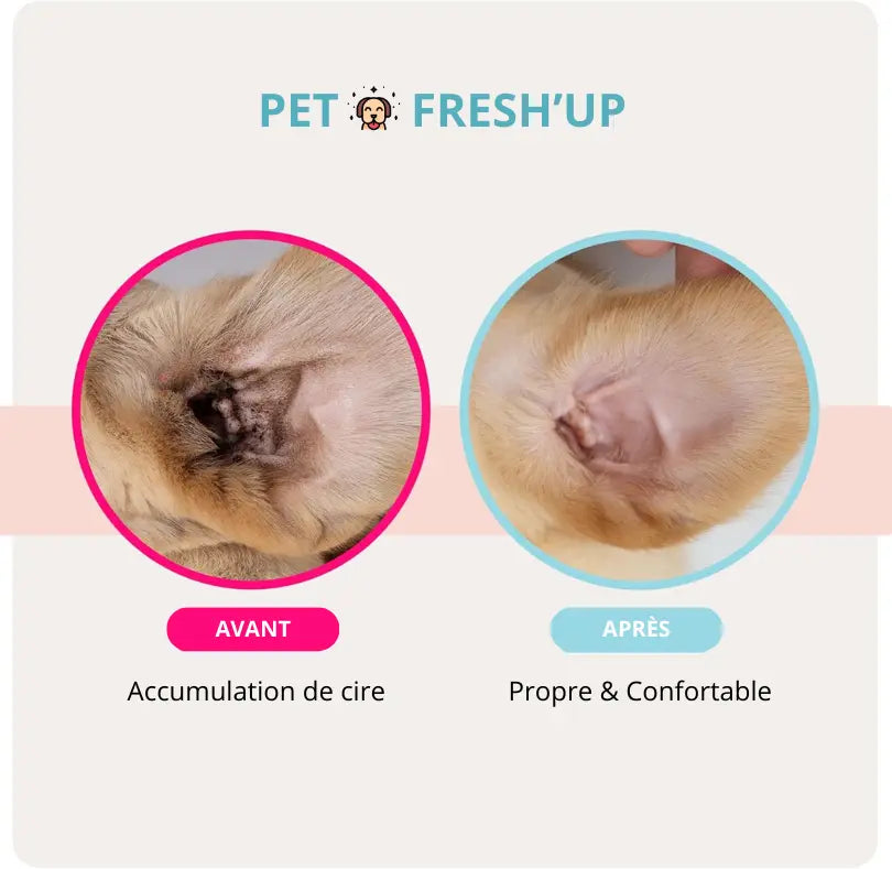 Fresh'Up™ Pack Complet Hygiène PetFresh'Up