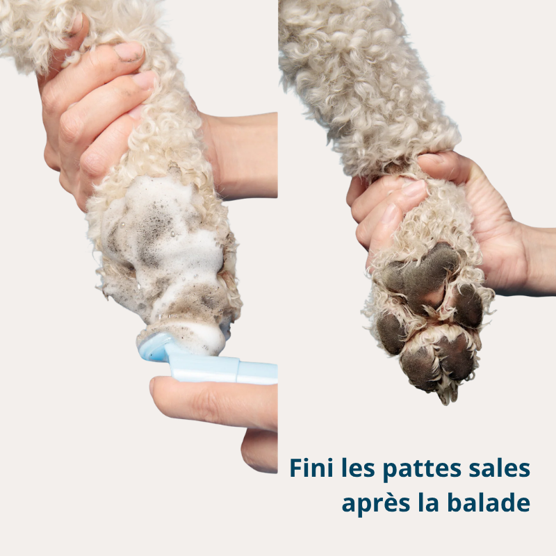 Fresh'Up™ Les essentiels