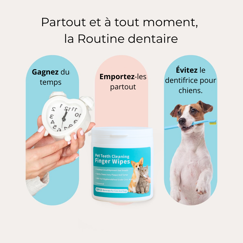 Fresh'Up™ Lingette Dentaire PetFresh'Up