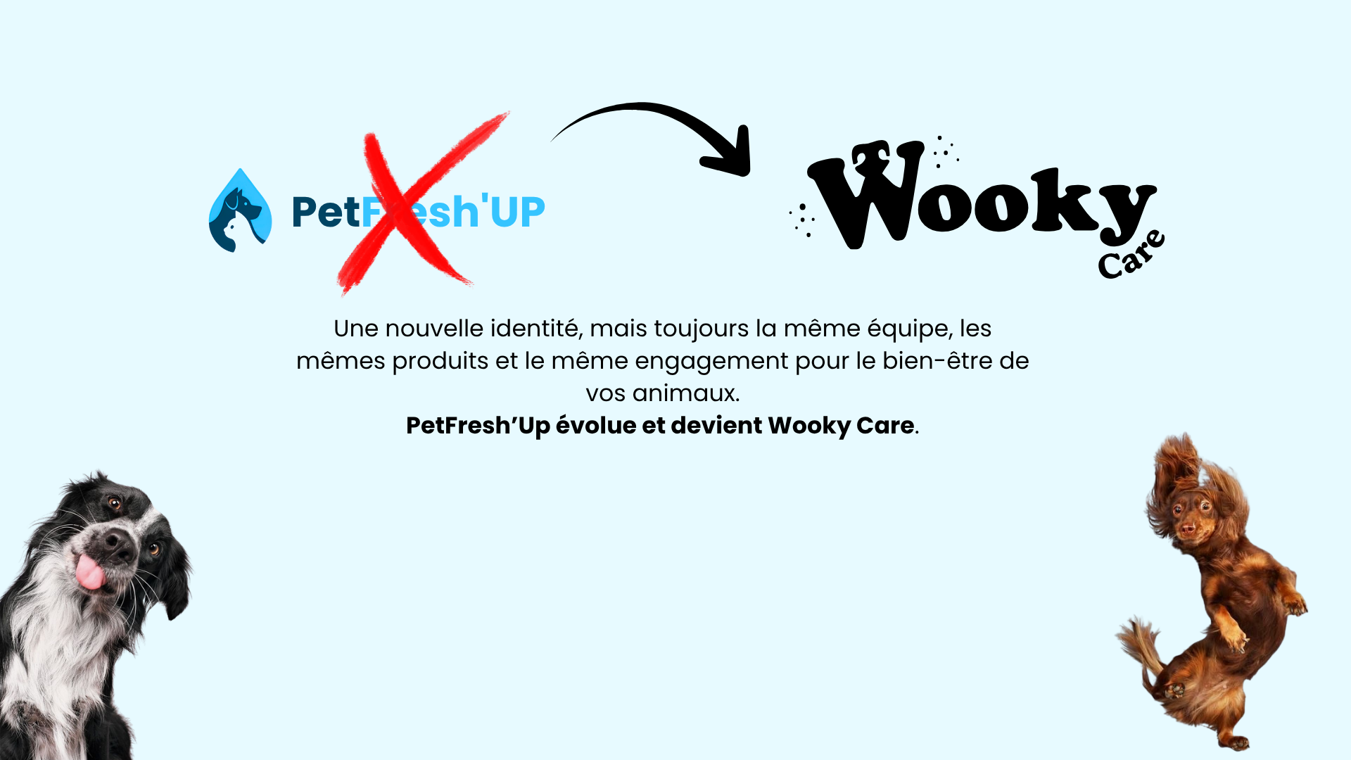Petfreshop devient Who’s Care