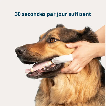 Fresh'Up™ Lingette Dentaire