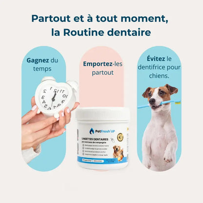 Fresh'Up™ Lingette Dentaire