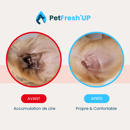 Fresh'Up™ Lingette Oreilles