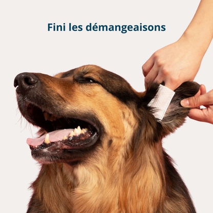 Fresh'Up™ Lingette Oreilles