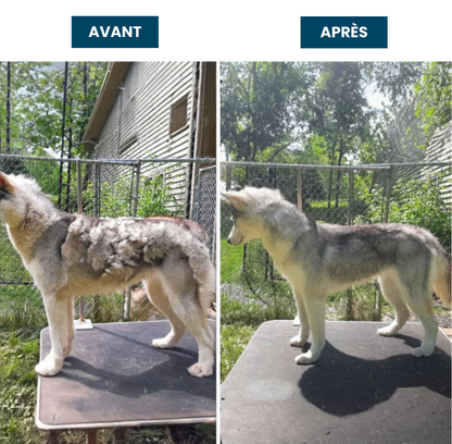 Fresh'Up™ Kit Toilettage Pro