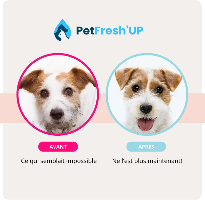 Fresh'Up™ Gants Toilettage PetFresh'Up
