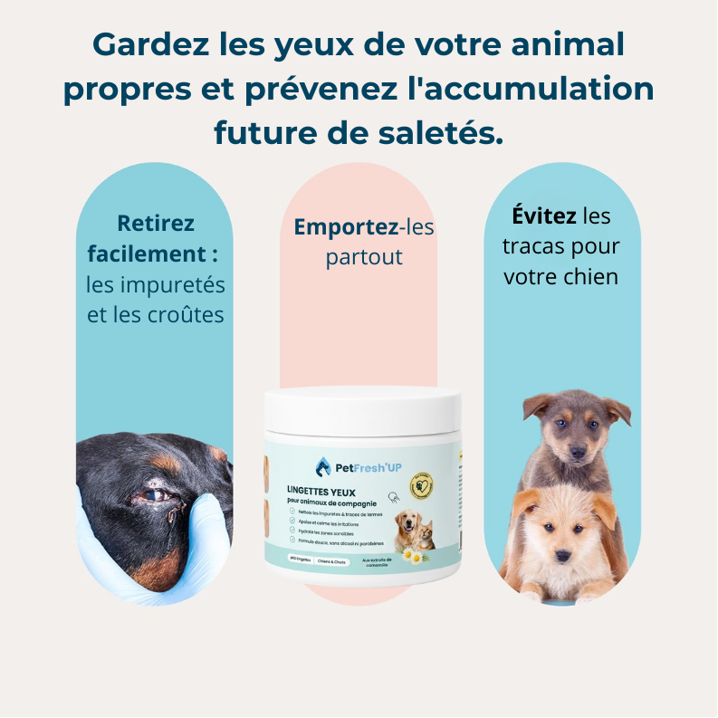 Fresh'Up™ Lingette Yeux