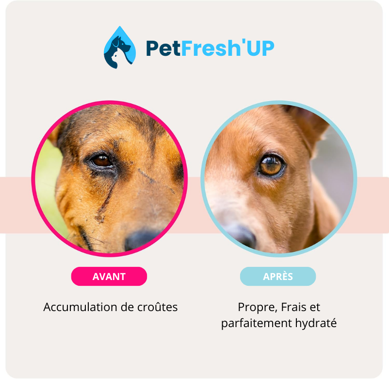 Fresh'Up™ Lingette Yeux PetFresh'Up