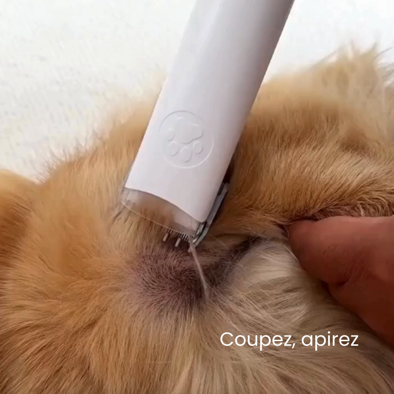 Fresh'Up™ Kit Toilettage Pro