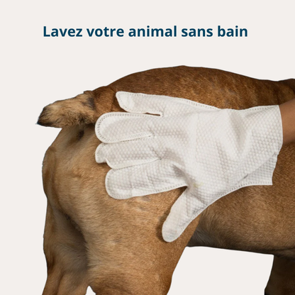 Fresh'Up™ Pack Complet Hygiène