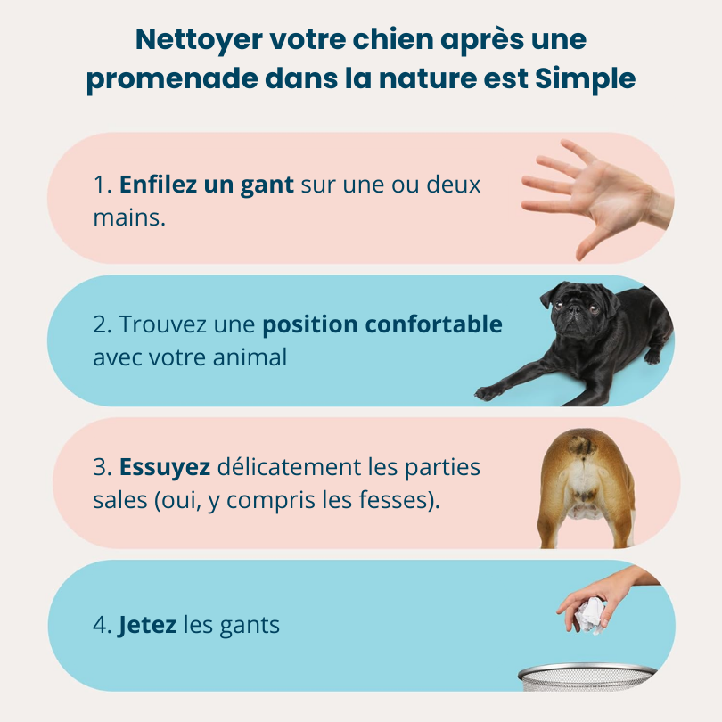 Fresh'Up™ Gants Toilettage