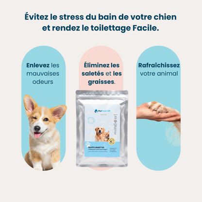 Fresh'Up™ Gants Toilettage