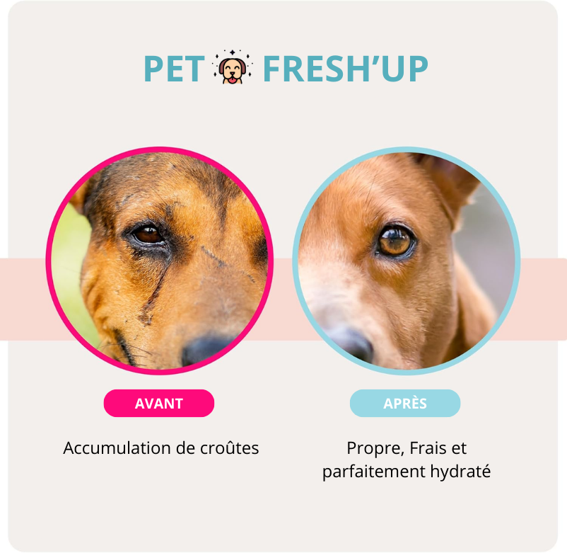 Fresh'Up™ Pack Complet Hygiène