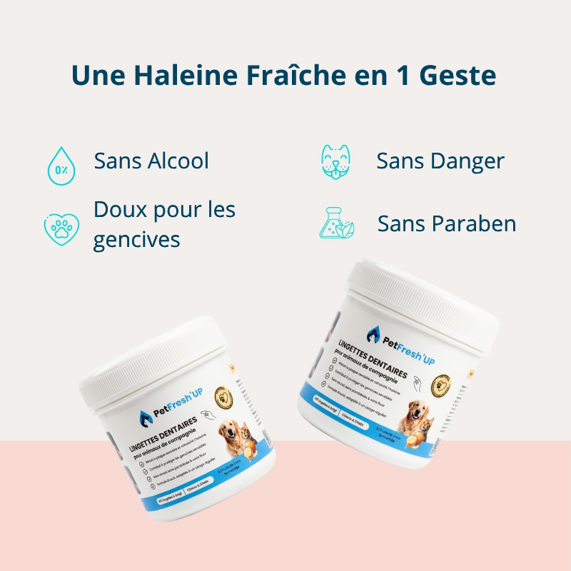 Fresh'Up™ Lingette Dentaire