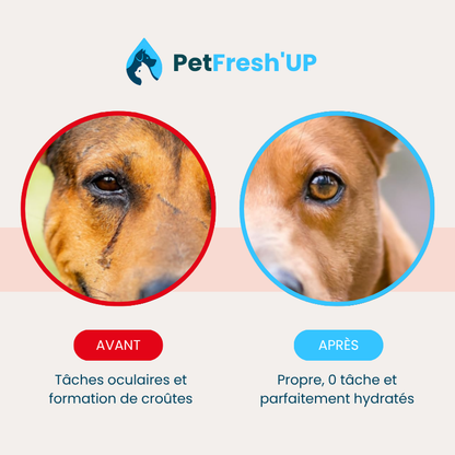 Fresh'Up™ Lingette Yeux