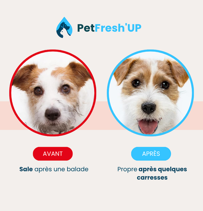 Fresh'Up™ Gants Toilettage